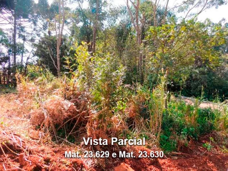 Terreno em leilão em Dois Lajeados - RS — Terreno - Dois Lajeados - RS