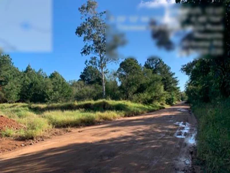Foto 11 de 14: Terreno em leilão em Gravataí - RS, bairro Beija-flor — Terreno - Gravataí - RS