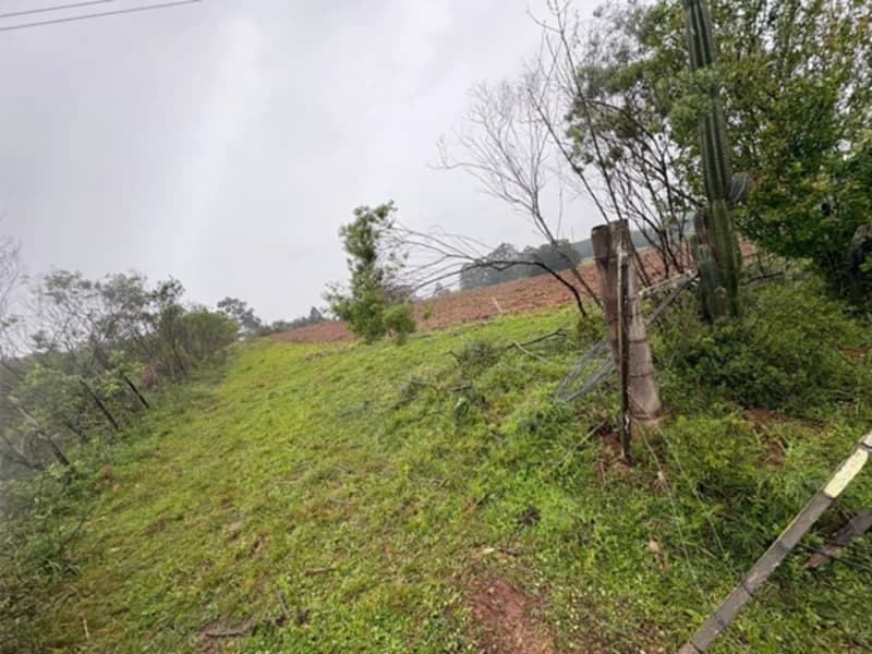 Foto 11 de 18: Area Rural em leilão em Eldorado Do Sul - RS — Casa - Eldorado do Sul - RS