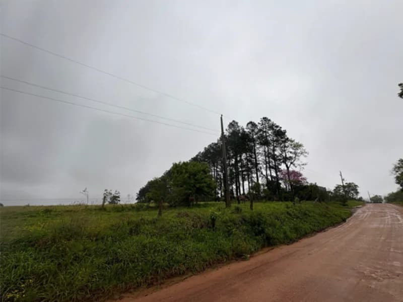 Foto 2 de 18: Area Rural em leilão em Eldorado Do Sul - RS — Casa - Eldorado do Sul - RS