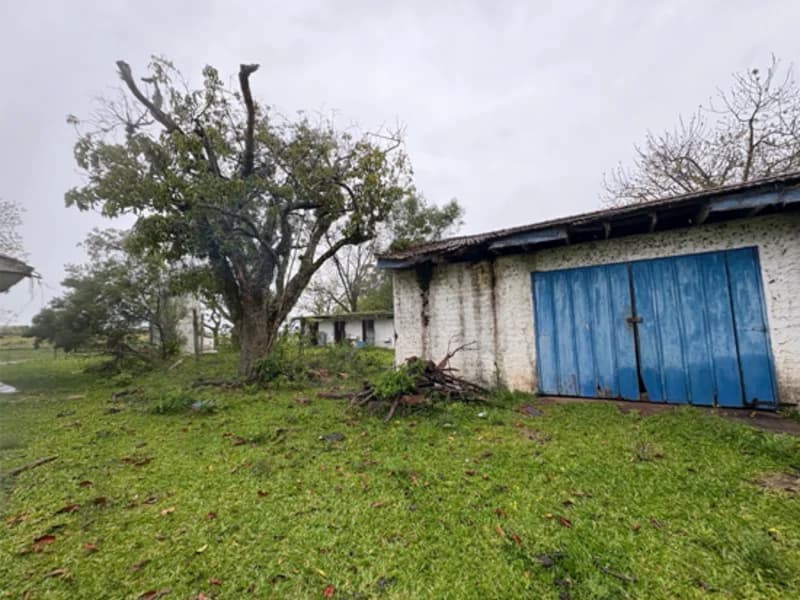 Foto 3 de 18: Area Rural em leilão em Eldorado Do Sul - RS — Casa - Eldorado do Sul - RS