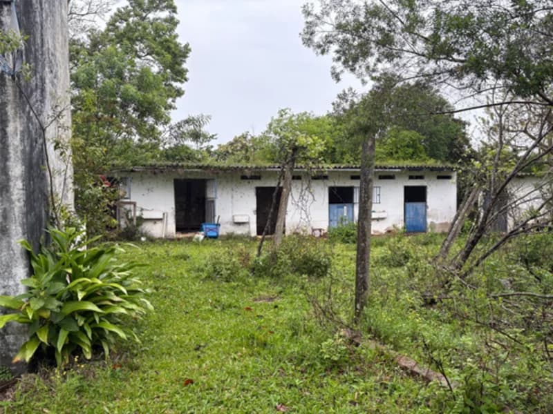 Foto 14 de 18: Area Rural em leilão em Eldorado Do Sul - RS — Casa - Eldorado do Sul - RS
