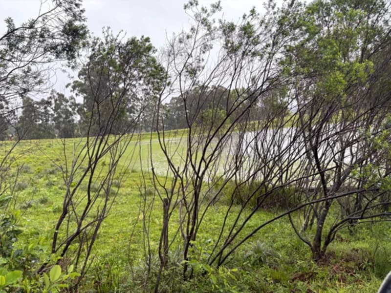 Foto 6 de 18: Area Rural em leilão em Eldorado Do Sul - RS — Casa - Eldorado do Sul - RS