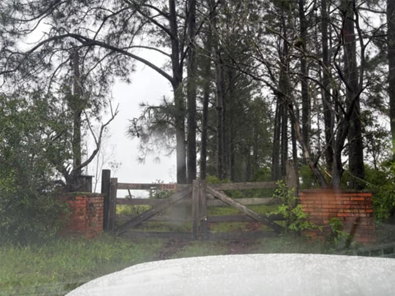 Foto 9 de 18: Area Rural em leilão em Eldorado Do Sul - RS — Casa - Eldorado do Sul - RS