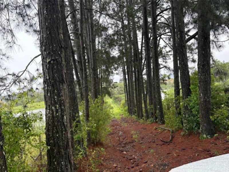 Foto 8 de 18: Area Rural em leilão em Eldorado Do Sul - RS — Casa - Eldorado do Sul - RS