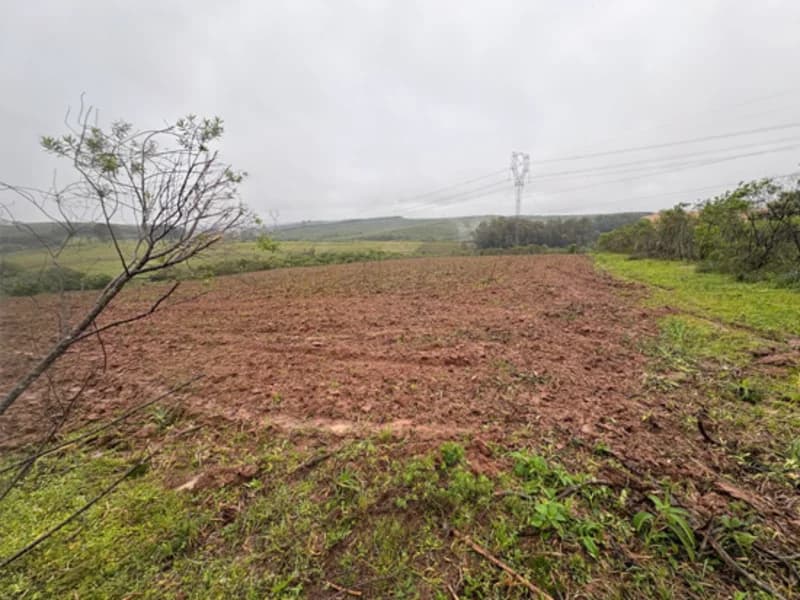 Foto 16 de 18: Area Rural em leilão em Eldorado Do Sul - RS — Casa - Eldorado do Sul - RS