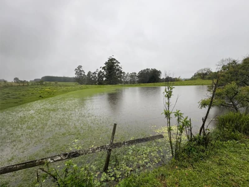 Foto 15 de 18: Area Rural em leilão em Eldorado Do Sul - RS — Casa - Eldorado do Sul - RS