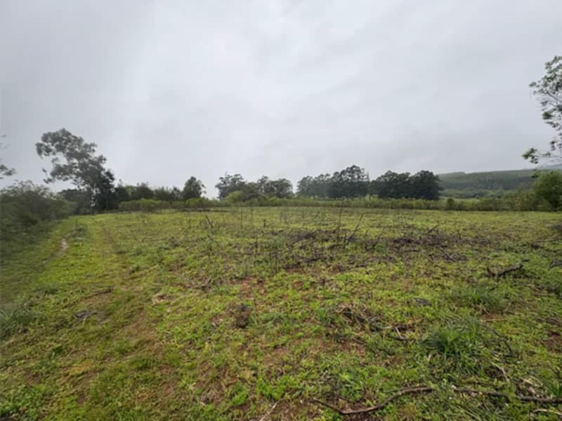Foto 18 de 18: Area Rural em leilão em Eldorado Do Sul - RS — Casa - Eldorado do Sul - RS
