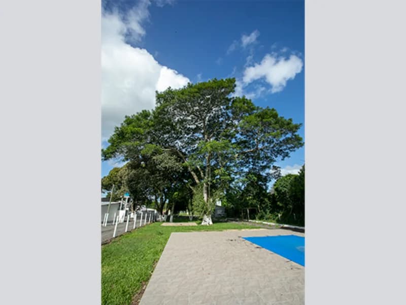 Foto 6 de 67: Terreno em leilão em Viamão - RS, bairro Vila Esperança — Casa - Viamão - RS