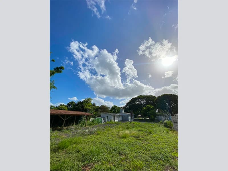Foto 19 de 67: Terreno em leilão em Viamão - RS, bairro Vila Esperança — Casa - Viamão - RS