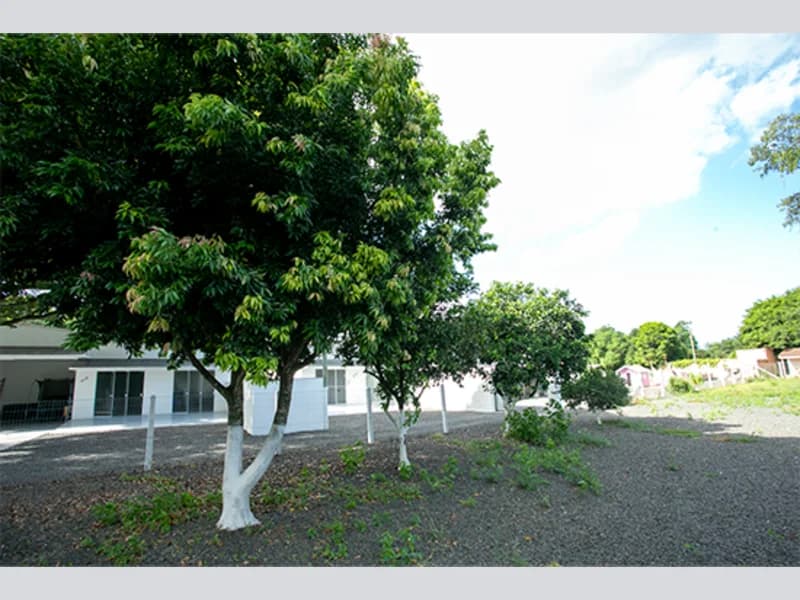 Foto 36 de 67: Terreno em leilão em Viamão - RS, bairro Vila Esperança — Casa - Viamão - RS