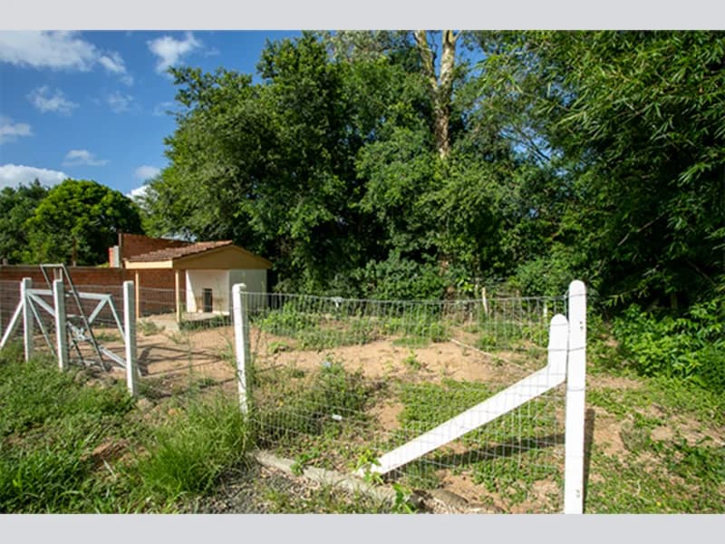 Foto 37 de 67: Terreno em leilão em Viamão - RS, bairro Vila Esperança — Casa - Viamão - RS