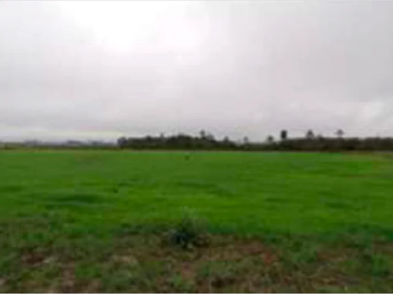 Foto 5 de 6: Terreno em leilão em Glorinha - RS — Terreno - Glorinha - RS