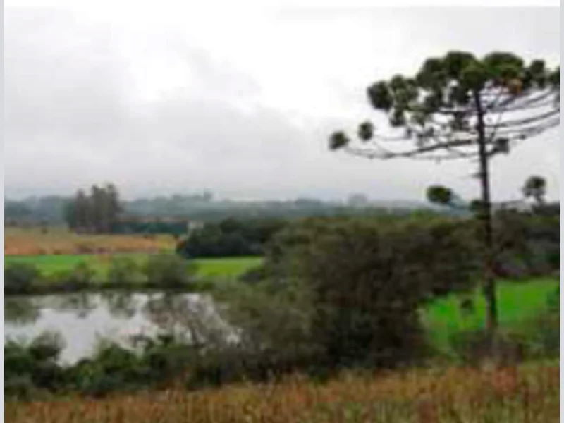 Foto 6 de 6: Terreno em leilão em Glorinha - RS — Terreno - Glorinha - RS