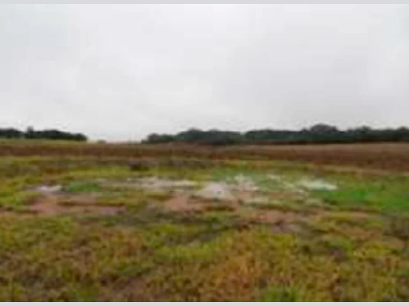 Foto 4 de 6: Terreno em leilão em Glorinha - RS — Terreno - Glorinha - RS