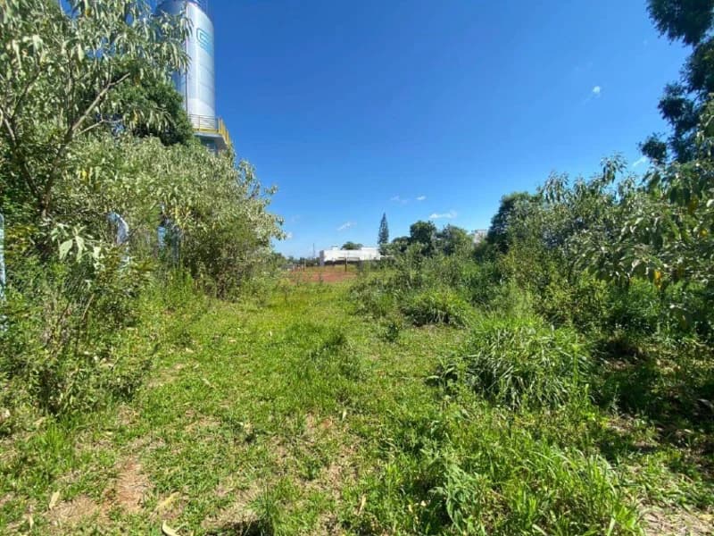 Foto 3 de 6: Terreno em leilão em Erval Grande - RS, bairro Centro — Terreno - Erval Grande - RS