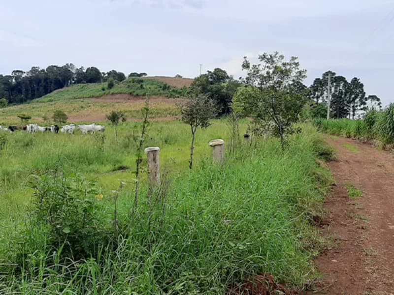 Foto 2 de 7: Terreno em leilão em Trindade Do Sul - RS — Terreno Trindade do Sul RS