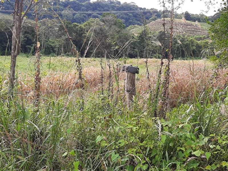 Foto 7 de 7: Terreno em leilão em Trindade Do Sul - RS — Terreno Trindade do Sul RS