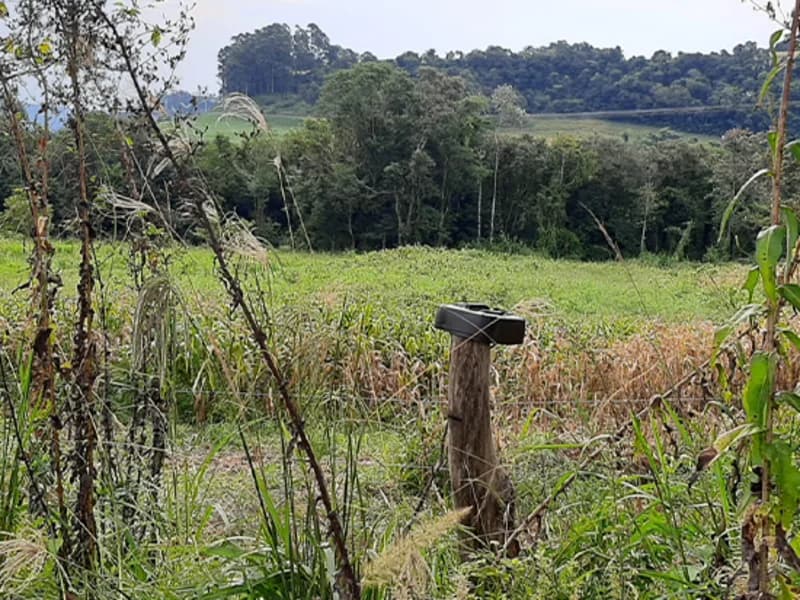 Foto 3 de 7: Terreno em leilão em Trindade Do Sul - RS — Terreno Trindade do Sul RS