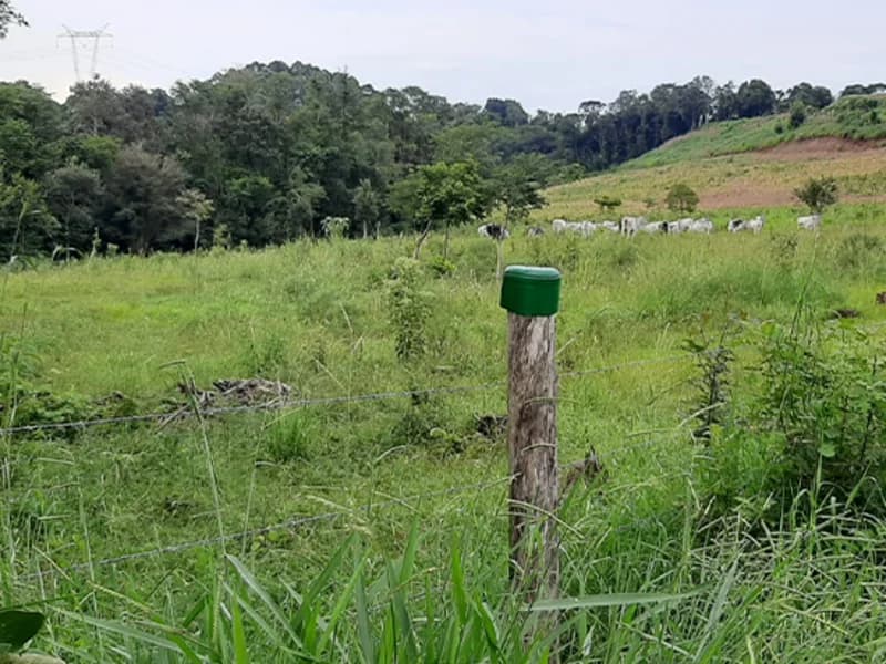 Foto 5 de 7: Terreno em leilão em Trindade Do Sul - RS — Terreno Trindade do Sul RS