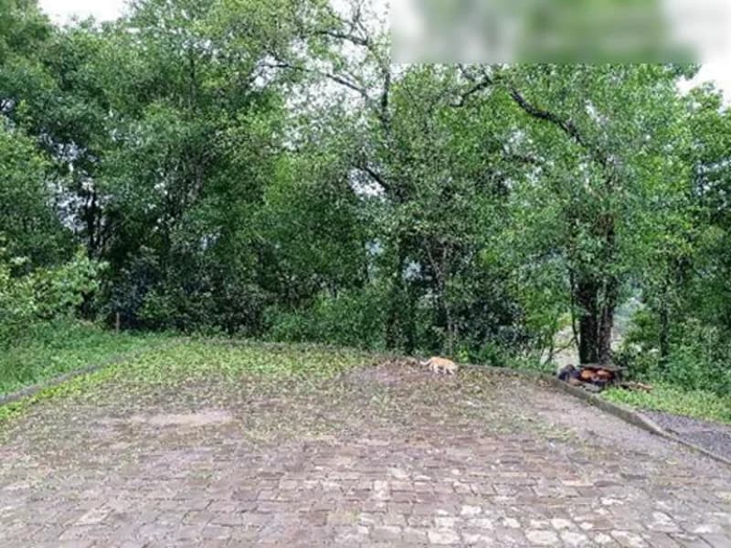 Foto 4 de 8: Terreno em leilão em Encantado - RS, bairro São José — Terreno - Encantado - RS