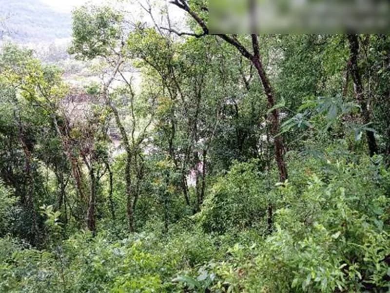 Foto 8 de 8: Terreno em leilão em Encantado - RS, bairro São José — Terreno - Encantado - RS