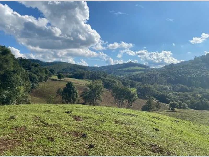 Foto 7 de 9: Terreno em leilão em Xaxim - SC — Terreno - Xaxim - SC