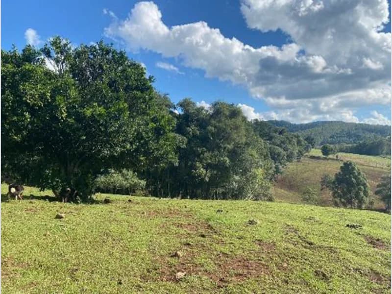 Foto 8 de 9: Terreno em leilão em Xaxim - SC — Terreno - Xaxim - SC
