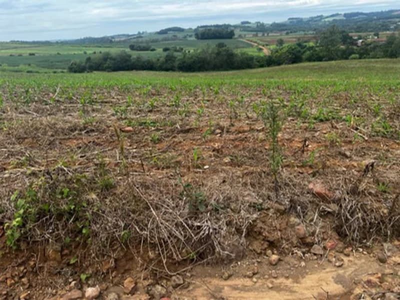 Foto 4 de 4: Terreno em leilão em Santa Rosa - RS — Terreno - Santa Rosa - RS