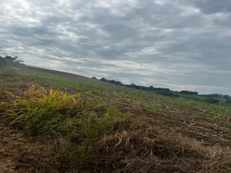 Foto 3 de 4: Terreno em leilão em Santa Rosa - RS — Terreno - Santa Rosa - RS