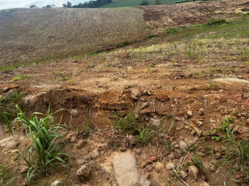 Foto 2 de 4: Terreno em leilão em Santa Rosa - RS — Terreno - Santa Rosa - RS