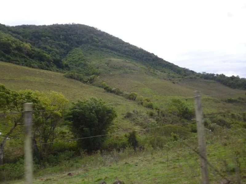 Foto 5 de 30: Terreno em leilão em Faxinal Do Soturno - RS, bairro Trombudo — Terreno - Dona Francisca - RS