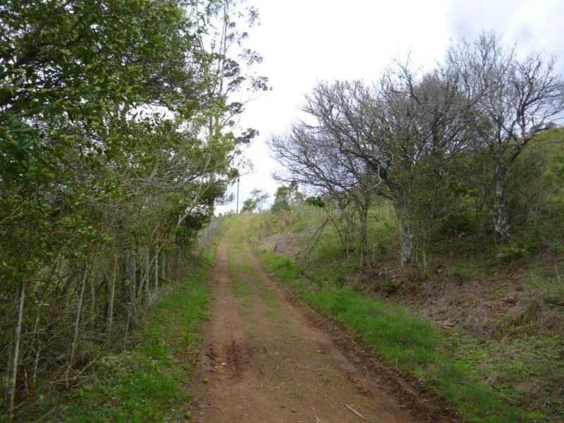 Foto 7 de 30: Terreno em leilão em Faxinal Do Soturno - RS, bairro Trombudo — Terreno - Dona Francisca - RS