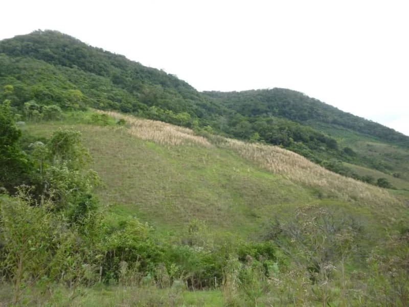 Foto 9 de 30: Terreno em leilão em Faxinal Do Soturno - RS, bairro Trombudo — Terreno - Dona Francisca - RS