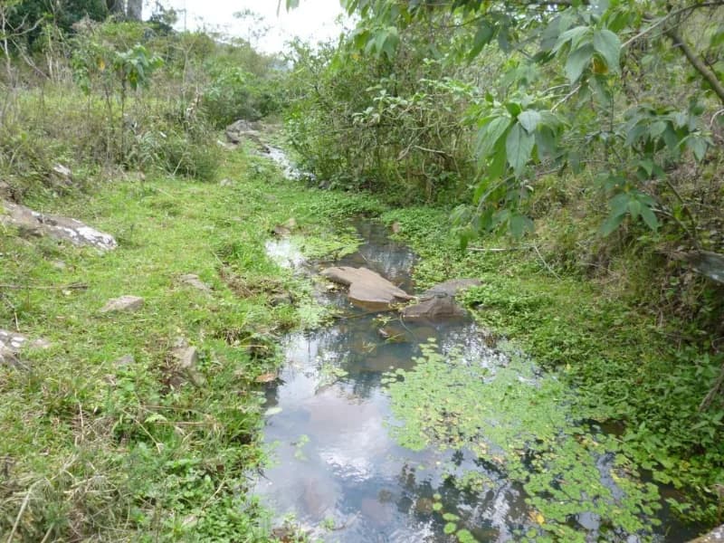 Foto 10 de 30: Terreno em leilão em Faxinal Do Soturno - RS, bairro Trombudo — Terreno - Dona Francisca - RS
