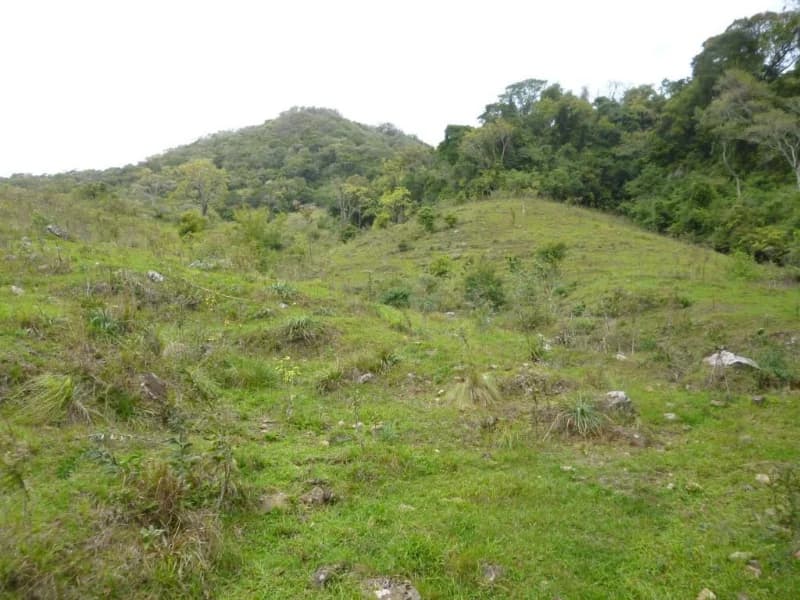 Foto 13 de 30: Terreno em leilão em Faxinal Do Soturno - RS, bairro Trombudo — Terreno - Dona Francisca - RS