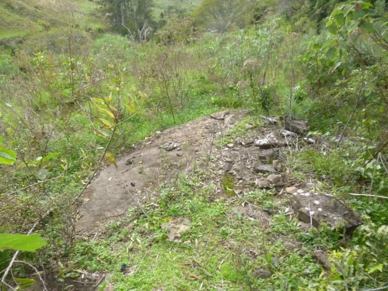 Foto 15 de 30: Terreno em leilão em Faxinal Do Soturno - RS, bairro Trombudo — Terreno - Dona Francisca - RS