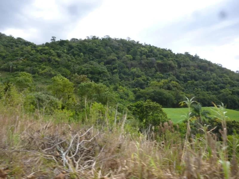Foto 14 de 30: Terreno em leilão em Faxinal Do Soturno - RS, bairro Trombudo — Terreno - Dona Francisca - RS