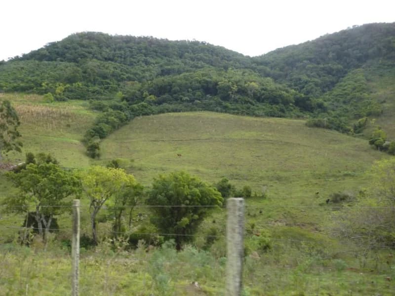 Foto 19 de 30: Terreno em leilão em Faxinal Do Soturno - RS, bairro Trombudo — Terreno - Dona Francisca - RS