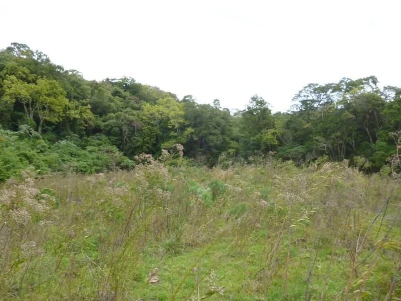 Foto 18 de 30: Terreno em leilão em Faxinal Do Soturno - RS, bairro Trombudo — Terreno - Dona Francisca - RS