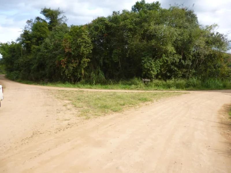 Foto 20 de 30: Terreno em leilão em Faxinal Do Soturno - RS, bairro Trombudo — Terreno - Dona Francisca - RS