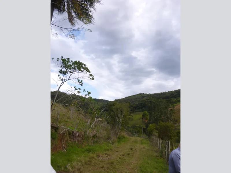Foto 26 de 30: Terreno em leilão em Faxinal Do Soturno - RS, bairro Trombudo — Terreno - Dona Francisca - RS