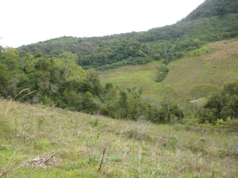 Foto 28 de 30: Terreno em leilão em Faxinal Do Soturno - RS, bairro Trombudo — Terreno - Dona Francisca - RS