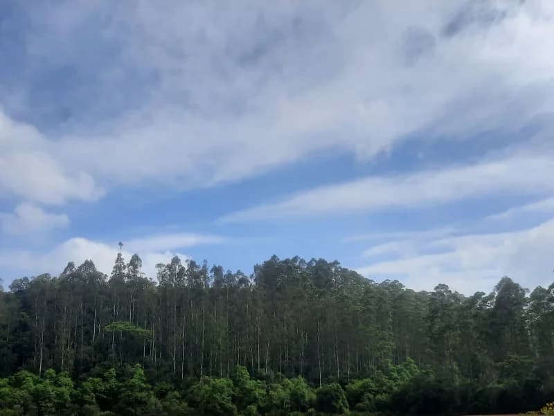 Terreno em leilão em Não-me-toque - RS, bairro Solano — Terreno - Não-me-toque - RS