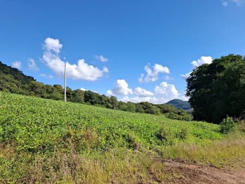 Foto 1 de 8: Terreno em leilão em Seberi - RS — Terreno - Seberi - RS