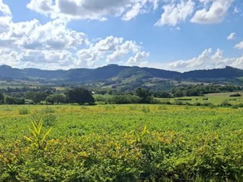 Foto 4 de 8: Terreno em leilão em Seberi - RS — Terreno - Seberi - RS