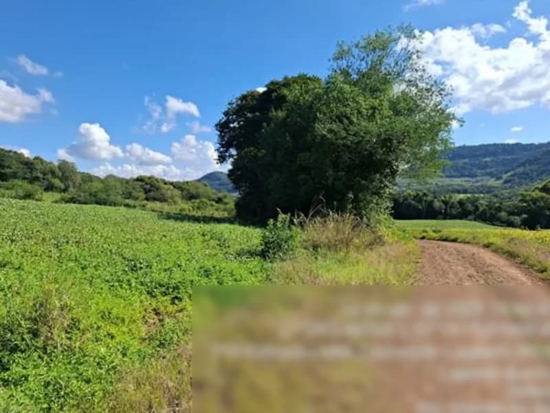 Foto 8 de 8: Terreno em leilão em Seberi - RS — Terreno - Seberi - RS