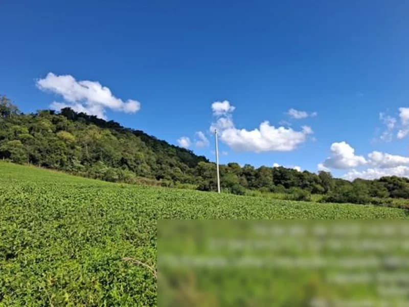 Foto 6 de 8: Terreno em leilão em Seberi - RS — Terreno - Seberi - RS