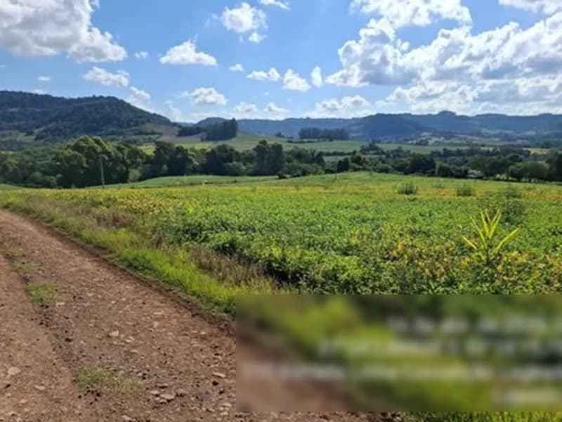 Foto 5 de 8: Terreno em leilão em Seberi - RS — Terreno - Seberi - RS