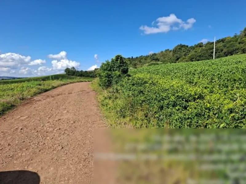 Foto 7 de 8: Terreno em leilão em Seberi - RS — Terreno - Seberi - RS